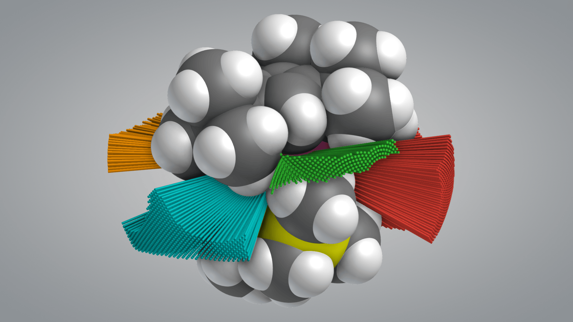 shapeXT render 2